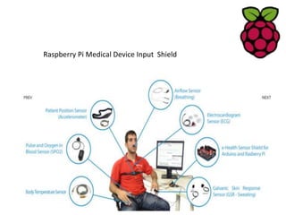 Medical Name Raspberry Raspberry Pi | PPTX