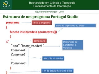 Bacharelado em Ciência e Tecnologia
Processamento da Informação
Equivalência Portugol – Java
Estrutura de um programa Portugol Studio
programa
{
funcao inicio(cadeia parametros[])
{
//
“tipo” “nome_variável”
Comando1
Comando2
...
Comando3
}
}
Inicia o programa
comentário Declaração de
Constantes e
Variáveis
Bloco de instruções
Fim do programa ou do bloco
Inicio do algoritmo ou bloco
 