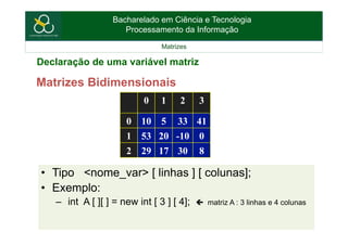 Aula 13 - Matrizes | PDF