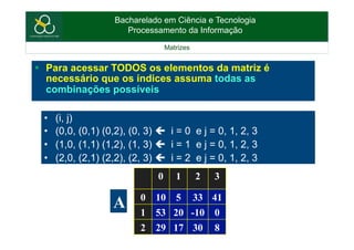 Aula 13 - Matrizes | PDF