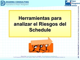 Herramientas para analizar el Riesgos del Schedule 