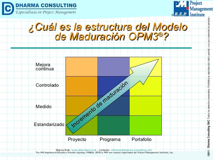 Organizational Project Management Maturity Model (OPM3®)