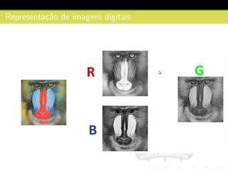 Representac¸˜ao de imagens digitais
 