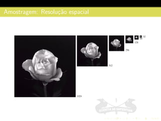 Amostragem: Resoluc¸˜ao espacial
 