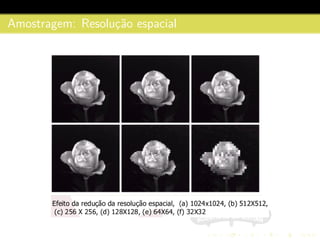 Amostragem: Resoluc¸˜ao espacial
 