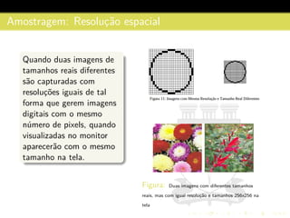 Amostragem: Resoluc¸˜ao espacial
Quando duas imagens de
tamanhos reais diferentes
s˜ao capturadas com
resoluc¸˜oes iguais de tal
forma que gerem imagens
digitais com o mesmo
n´umero de pixels, quando
visualizadas no monitor
aparecer˜ao com o mesmo
tamanho na tela.
Figura: Duas imagens com diferentes tamanhos
reais, mas com igual resoluc¸˜ao e tamanhos 256x256 na
tela
 