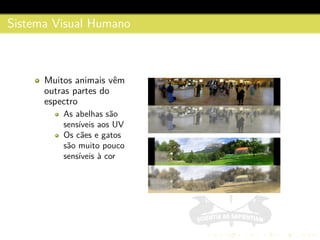 Sistema Visual Humano
Muitos animais vˆem
outras partes do
espectro
As abelhas s˜ao
sens´ıveis aos UV
Os c˜aes e gatos
s˜ao muito pouco
sens´ıveis `a cor
 
