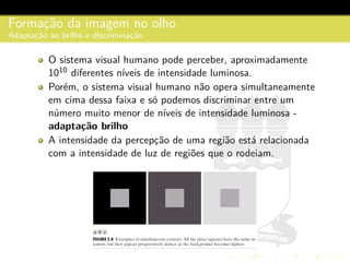 Formac¸˜ao da imagem no olho
Adaptac¸˜ao ao brilho e discriminac¸˜ao
O sistema visual humano pode perceber, aproximadamente
1010 diferentes n´ıveis de intensidade luminosa.
Por´em, o sistema visual humano n˜ao opera simultaneamente
em cima dessa faixa e s´o podemos discriminar entre um
n´umero muito menor de n´ıveis de intensidade luminosa -
adapta¸c˜ao brilho
A intensidade da percepc¸˜ao de uma regi˜ao est´a relacionada
com a intensidade de luz de regi˜oes que o rodeiam.
 