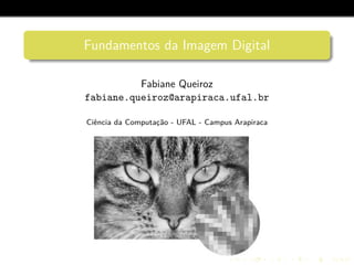 Fundamentos da Imagem Digital
Fabiane Queiroz
fabiane.queiroz@arapiraca.ufal.br
Ciˆencia da Computac¸˜ao - UFAL - Campus Arapiraca
 