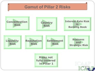 Gamut of Pillar 2 Risks 
Concentration 
Risk 
Country 
Risk 
Interest Rate Risk 
in 
Banking Book 
Risks not 
fully covered 
in Pillar 1 
Liquidity 
Risk 
Reputation 
Risk 
Settlement 
Risk 
Business 
and 
Strategic Risk 
11/17/14 
 