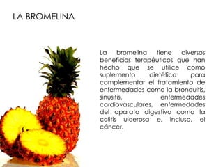 LA BROMELINA



               La     bromelina   tiene   diversos
               beneficios terapéuticos que han
               hecho que se utilice como
               suplemento       dietético    para
               complementar el tratamiento de
               enfermedades como la bronquitis,
               sinusitis,           enfermedades
               cardiovasculares, enfermedades
               del aparato digestivo como la
               colitis ulcerosa e, incluso, el
               cáncer.
 