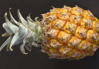 Pineapple( piña)