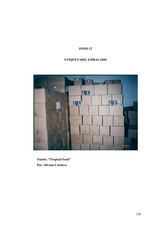 120
FOTO 12
ETIQUETADO, EMBALADO
Fuente: “Tropical Food”
Por: Silvana Córdova
 