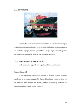 40
3.4.3 TRANSPORTE
Como medio de envío se utiliza la vía marítima, en contenedores de 20 pies
secos (ninguna atmósfera ni grado). Desde Ecuador se efectúa la exportación a través
del puerto de Guayaquil, mientras que en Chile se recepta el producto en los puertos
de Valparaíso y San Antonio, siendo el más importante el primero.
3.4.4 DOCUMENTOS DE EXPORTACIÓN
La documentación requerida para exportar se detalla a continuación:
Factura Comercial
Es un instrumento comercial que describe el producto y precio de venta
desglosado de tal manera que específica el costo del embalaje, transporte, fletes, etc.
El exportador debe presentar esta factura, justificar las divisas y establecer los
derechos de aduana cuando existan. (Anexo 4)
 