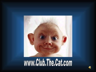 www.Club.The.Cat.com 