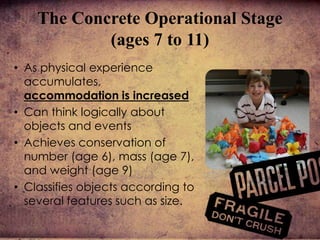 • As physical experience
accumulates,
accommodation is increased
• Can think logically about
objects and events
• Achieves conservation of
number (age 6), mass (age 7),
and weight (age 9)
• Classifies objects according to
several features such as size.
The Concrete Operational Stage
(ages 7 to 11)
 