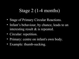 Stage 2 (1-4 months) Stage of Primary Circular Reactions. Infant’s behaviour, by chance, leads to an interesting result & is repeated. Circular: repetition. Primary: centre on infant's own body. Example: thumb-sucking. 