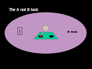 A trials The A not B task 1 The A not B task 