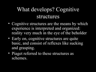 What develops? Cognitive structures Cognitive structures are the means by which experience is interpreted and organized: reality very much in the eye of the beholder Early on, cognitive structures are quite basic, and consist of reflexes like sucking and grasping. Piaget referred to these structures as schemes. 