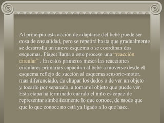 Al principio esta acción de adaptarse del bebé puede ser cosa de casualidad, pero se repetirá hasta que gradualmente se desarrolla un nuevo esquema o se coordinan dos esquemas. Piaget llama a este proceso una  “reacción   circular”  . En estos primeros meses las reacciones circulares primarias capacitan al bebé a moverse desde el esquema reflejo de succión al esquema sensorio-motor, mas diferenciado, de chupar los dedos o de ver un objeto  y tocarlo por separado, a tomar el objeto que puede ver.  Esta etapa ha terminado cuando el niño es capaz de representar simbólicamente lo que conoce, de modo que que lo que conoce no está ya ligado a lo que hace. 