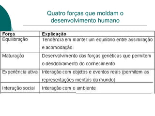 Quatro forças que moldam o desenvolvimento humano 