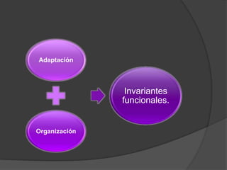 Adaptación




                Invariantes
               funcionales.


Organización
 