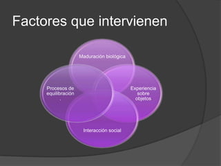 Factores que intervienen

                     Maduración biológica




     Procesos de                            Experiencia
     equilibración                             sobre
            .                                 objetos




                      Interacción social
 
