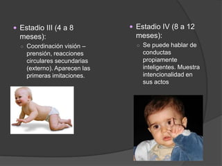  Estadio III (4 a 8           Estadio IV (8 a 12
  meses):                       meses):
  ○ Coordinación visión –       ○ Se puede hablar de
    prensión, reacciones          conductas
    circulares secundarias        propiamente
    (externo). Aparecen las       inteligentes. Muestra
    primeras imitaciones.         intencionalidad en
                                  sus actos
 