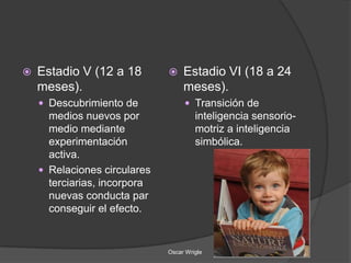    Estadio V (12 a 18            Estadio VI (18 a 24
    meses).                        meses).
     Descubrimiento de             Transición de
      medios nuevos por                inteligencia sensorio-
      medio mediante                   motriz a inteligencia
      experimentación                  simbólica.
      activa.
     Relaciones circulares
      terciarias, incorpora
      nuevas conducta par
      conseguir el efecto.


                              Oscar Wrigle
 
