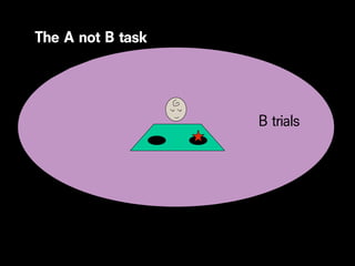 The A not B task
 The A not B task




                    B trials
 