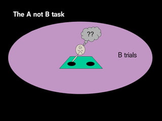 The A not B task

                   ??


                        B trials
 