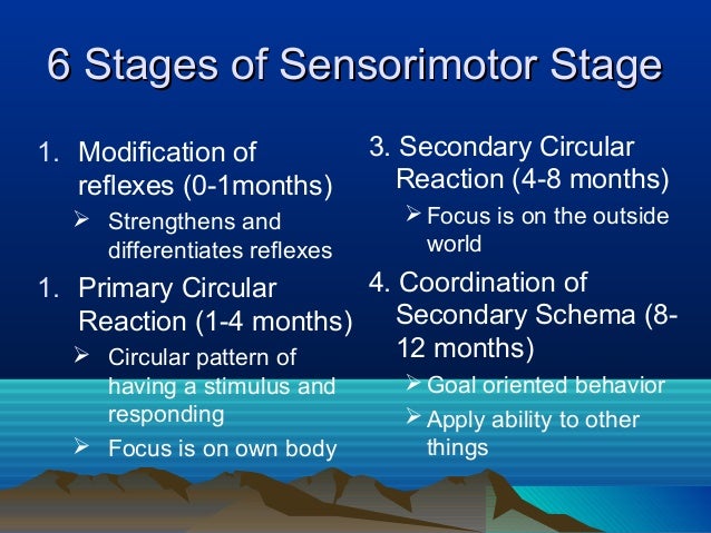secondary circular the sensorimotor stage of development lasts from birth to about Piaget Stages Of Sensorimotor Development 2025