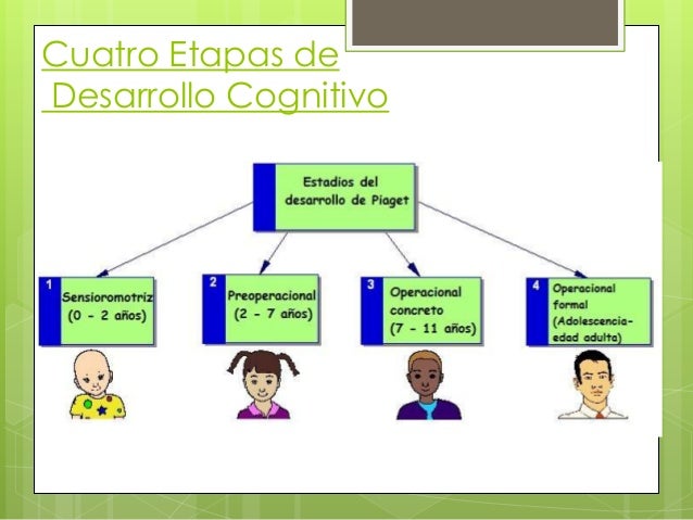 Piaget Las Cuatro Etapas Del Desarrollo Cognitivo Etapas Del Porn Sex 4731