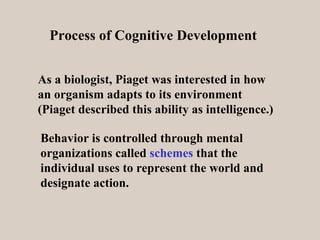 piaget schemes