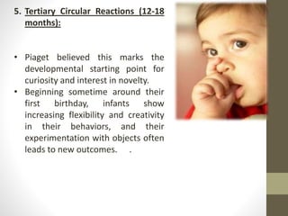 5. Tertiary Circular Reactions (12-18
months):
• Piaget believed this marks the
developmental starting point for
curiosity and interest in novelty.
• Beginning sometime around their
first birthday, infants show
increasing flexibility and creativity
in their behaviors, and their
experimentation with objects often
leads to new outcomes. .
 