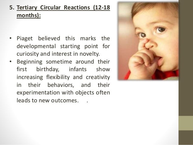 piaget tertiary circular reactions