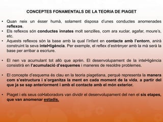 CONCEPTES FONAMENTALS DE LA TEORIA DE PIAGET
• Quan neix un ésser humà, solament disposa d’unes conductes anomenades
reflexos.
• Els reflexos són conductes innates molt senzilles, com ara xuclar, agafar, moure’s,
etc.
• Aquests reflexos són la base amb la qual l’infant en contacte amb l’entorn, anirà
construint la seva intel•ligència. Per exemple, el reflex d’estrènyer amb la mà serà la
base per arribar a escriure.
• El nen va acumulant tot allò que aprèn. El desenvolupament de la intel•ligència
consistirà en l’acumulació d’esquemes i maneres de resoldre problemes.
• El concepte d’esquema és clau en la teoria piagetiana, perquè representa la manera
com s’estructura i s’organitza la ment en cada moment de la vida, a partir del
que ja se sap anteriorment i amb el contacte amb el món exterior.
• Piaget i els seus col•laboradors van dividir el desenvolupament del nen el sis etapes,
que van anomenar estadis.
 