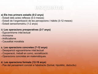 esquema
a) Els tres primers estadis (0-2 anys)
- Estadi dels actes reflexos (0-3 mesos)
- Estadi de l’organització de les percepcions i hàbits (3-12 mesos)
- Estadi sensoriomotriu (1-2 anys)
b) Les operacions preoperatives (2-7 anys)
- Egocentrisme intel.lectual
- Animisme
- Artificialisme
- Causalitat moralista
c. Les operacions concretes (7-12 anys)
- Desaparició egocentrisme intel.lectual
- Cooperació, treball en comú, socialització.
- Operacions concretes en matemàtiques.
d. Les operacions formals (12-16 anys)
- Pas del pensament concret a l’abstracte (formal, hipotètic, deductiu)
 