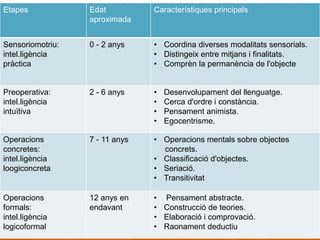 Etapes Edat
aproximada
Característiques principals
Sensoriomotriu:
intel.ligència
pràctica
0 - 2 anys • Coordina diverses modalitats sensorials.
• Distingeix entre mitjans i finalitats.
• Comprèn la permanència de l'objecte
Preoperativa:
intel.ligència
intuïtiva
2 - 6 anys • Desenvolupament del llenguatge.
• Cerca d'ordre i constància.
• Pensament animista.
• Egocentrisme.
Operacions
concretes:
intel.ligència
loogiconcreta
7 - 11 anys • Operacions mentals sobre objectes
concrets.
• Classificació d'objectes.
• Seriació.
• Transitivitat
Operacions
formals:
intel.ligència
logicoformal
12 anys en
endavant
• Pensament abstracte.
• Construcció de teories.
• Elaboració i comprovació.
• Raonament deductiu
 
