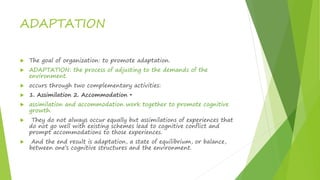 ADAPTATION
 The goal of organization: to promote adaptation.
 ADAPTATION: the process of adjusting to the demands of the
environment.
 occurs through two complementary activities:
 1. Assimilation 2. Accommodation •
 assimilation and accommodation work together to promote cognitive
growth.
 They do not always occur equally but assimilations of experiences that
do not go well with existing schemes lead to cognitive conflict and
prompt accommodations to those experiences.
 And the end result is adaptation, a state of equilibrium, or balance,
between one’s cognitive structures and the environment.
 