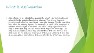What is Assimilation
 Assimilation is an adaptation process by which new information is
taken into the previously existing schema. This is how humans
perceive and adapt to new ideas. Here, the learner fits the new idea
into what he already knows. For example, a small child may have a
schema about a type of animals. The child’s only experience with
dogs is their pet dog, and he knows that dogs have four legs. One
day this child sees another dog. He identifies the new animal as a
dog based on his previous knowledge of his dog. Labeling it as a dog
is an example of assimilating the animal into the child’s dog schema.
 