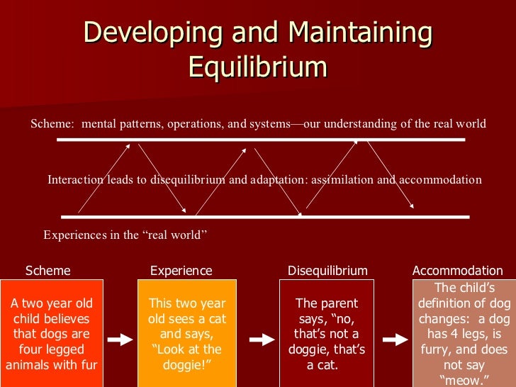 Schema Theory Define And Provide Examples Of Assimilation And