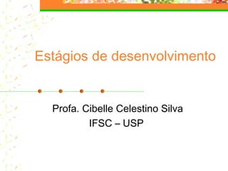 Estágios de desenvolvimento
Profa. Cibelle Celestino Silva
IFSC – USP
 