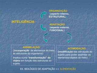 INTELIGÊNCIA
ORGANIZAÇÃO
(aspecto interno,
ESTRUTURAL)
ADAPTAÇÃO
(aspecto externo,
FUNCIONAL)
ASSIMILAÇÃO
(incorporação de elementos do meio
às estruturas do organismo)
Implica numa “transformação” do
objeto em função das estruturas do
sujeito
ACOMODAÇÃO
(modificação das estruturas do
sujeito para poder assimilar os
elementos/objetos do meio)
EX. BIOLÓGICO DE ADAPTAÇÃO => ALIMENTAÇÃO
 