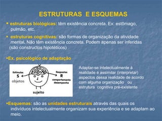 ESTRUTURAS E ESQUEMAS
 estruturas biológicas: têm existência concreta. Ex: estômago,
pulmão, etc.
 estruturas cognitivas: são formas de organização da atividade
mental. Não têm existência concreta. Podem apenas ser inferidas
(são constructos hipotéticos)
Ex. psicológico de adaptação
Esquemas: são as unidades estruturais através das quais os
indivíduos intelectualmente organizam sua experiência e se adaptam ao
meio.
Adaptar-se intelectualmente à
realidade é assimilar (interpretar)
aspectos dessa realidade de acordo
com alguma organização ou
estrutura cognitiva pré-existente
 