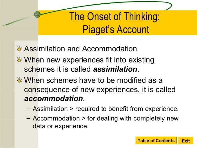 piaget schemes