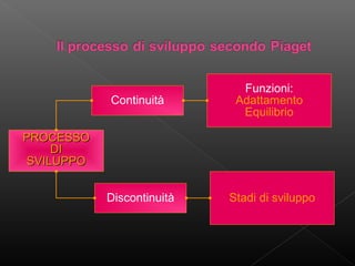 Continuità

Funzioni:
Adattamento
Equilibrio

Discontinuità

Stadi di sviluppo

PROCESSO
DI
SVILUPPO

 