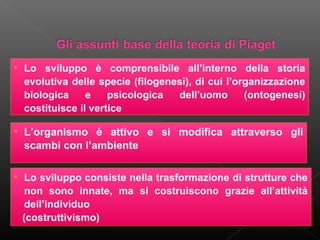 • Lo sviluppo è comprensibile all’interno della storia
evolutiva delle specie (filogenesi), di cui l’organizzazione
biologica
e
psicologica
dell’uomo
(ontogenesi)
costituisce il vertice

• L’organismo è attivo e si modifica attraverso gli
scambi con l’ambiente
• Lo sviluppo consiste nella trasformazione di strutture che
non sono innate, ma si costruiscono grazie all’attività
dell’individuo
(costruttivismo)

 