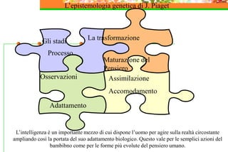 L’epistemologia genetica di J. Piaget
Gli stadi La trasformazione
Osservazioni
Adattamento
Assimilazione
Accomodamento
Processo
Maturazione del
Pensiero
L’intelligenza è un importante mezzo di cui dispone l’uomo per agire sulla realtà circostante
ampliando così la portata del suo adattamento biologico. Questo vale per le semplici azioni del
bambibno come per le forme più evolute del pensiero umano.
 