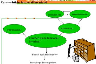 Caratteristiche funzionali
invarianti
organizzazione
adattamento
assimilazione accomodamento
Stato di equilibrio inferiore
Stato di equilibrio superiore
Caratteristiche funzionali invarianti
 